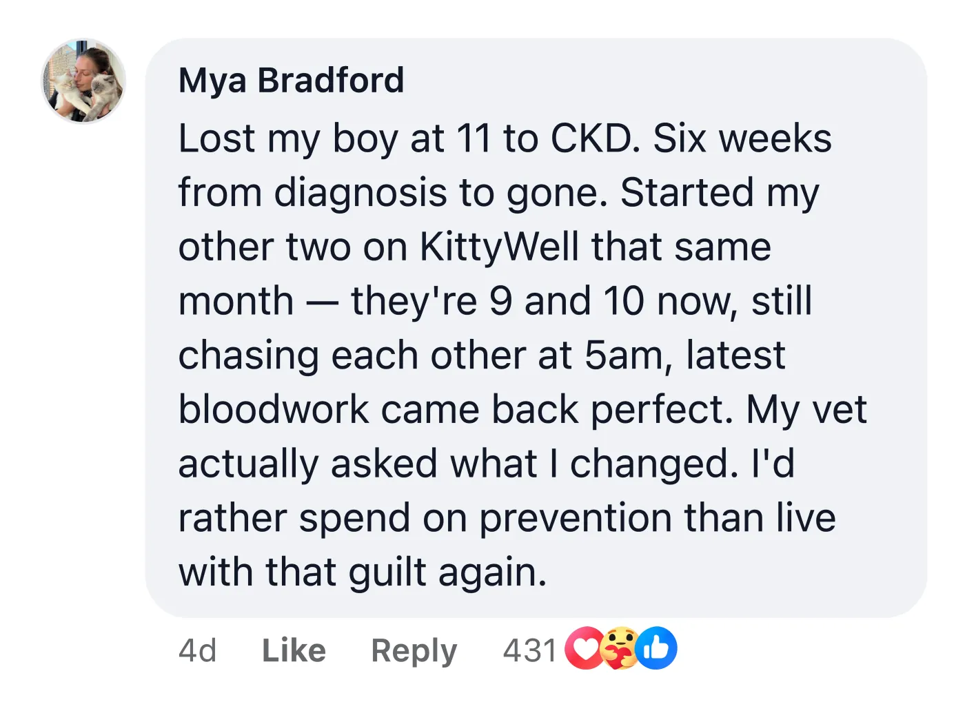 Facebook comment from Mya Bradford: Lost my boy at 11 to CKD. Six weeks from diagnosis to gone. Started my other two on KittyWell that same month — they're 9 and 10 now, still chasing each other at 5am, latest bloodwork came back perfect. My vet actually asked what I changed. I'd rather spend on prevention than live with that guilt again.