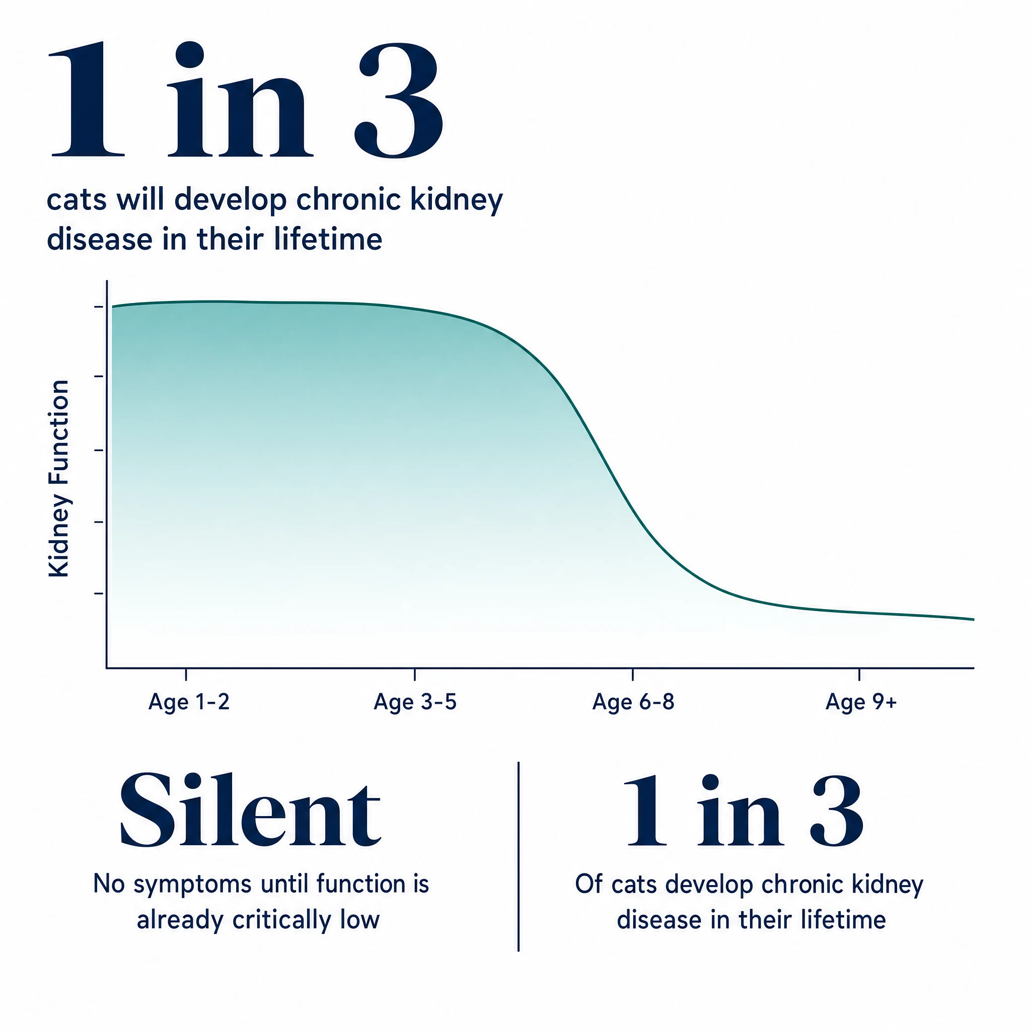 Chart: kidney function declines with age; 1 in 3 cats develop chronic kidney disease in their lifetime